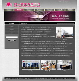 誠一公司仿皮銀包工廠網站初稿制作